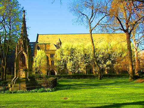 NY-St_John_The_Divine-Blooming_Flowering_Trees-07.JPG