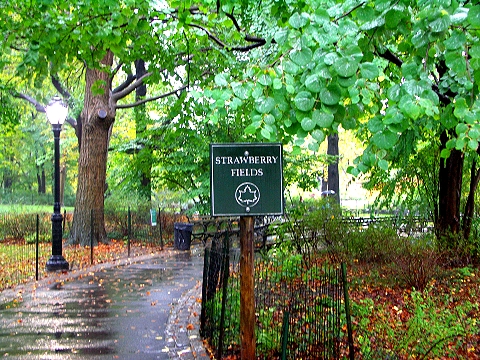 NY-Strawberry_Fields_in_the_rain-Central_Park-01.JPG
