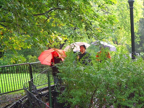 NY-Strawberry_Fields_in_the_rain-Central_Park-08.JPG