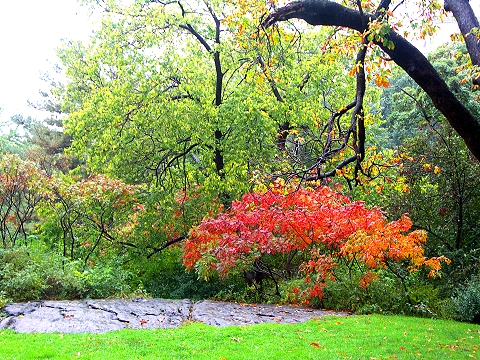 NY-Strawberry_Fields_in_the_rain-Central_Park-10.JPG