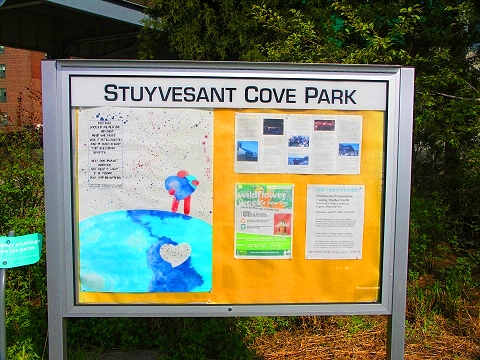 NY-Stuyvesant_Cove_Park-East_River-03.JPG