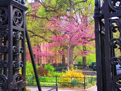 NY-Stuyvesant_Square-05.JPG