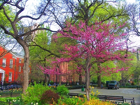 NY-Stuyvesant_Square-07.JPG