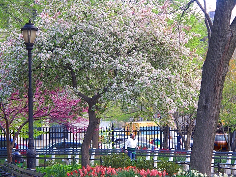 NY-Stuyvesant_Square-14.JPG