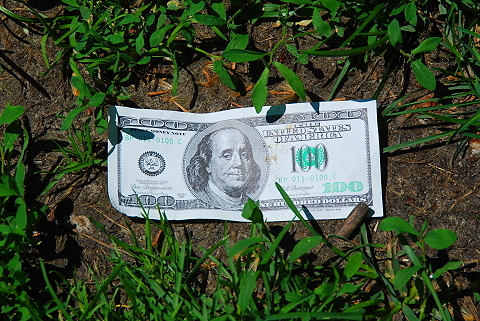 NY-Sunbathers_in_Central_Park-Ben_Franklin.JPG