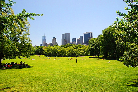 NY-Sunbathers_in_Central_Park_Sheeps_Meadow-02.JPG