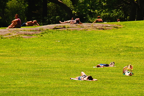 NY-Sunbathers_in_Central_Park_Sheeps_Meadow-03.JPG
