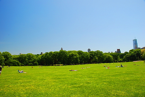 NY-Sunbathers_in_Central_Park_Sheeps_Meadow-11.JPG