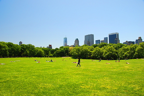 NY-Sunbathers_in_Central_Park_Sheeps_Meadow-12.JPG