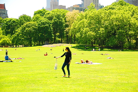 NY-Sunbathers_in_Central_Park_Sheeps_Meadow-13.JPG