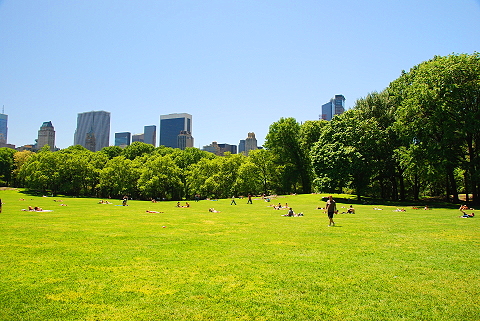NY-Sunbathers_in_Central_Park_Sheeps_Meadow-14.JPG
