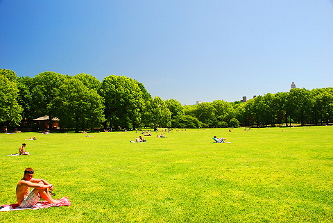 NY-Sunbathers_in_Central_Park_Sheeps_Meadow-15.JPG
