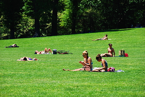NY-Sunbathers_in_Central_Park_Sheeps_Meadow-19.JPG