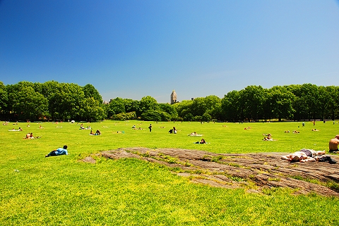 NY-Sunbathers_in_Central_Park_Sheeps_Meadow-22.JPG