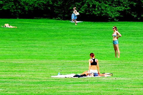 NY-Sunbathers_in_Central_Park_Sheepsmeadow-02.JPG