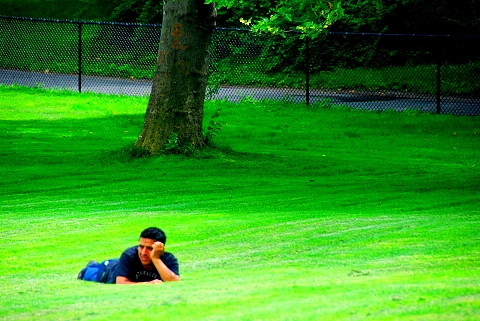 NY-Sunbathers_in_Central_Park_Sheepsmeadow-12.JPG