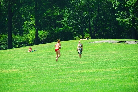 NY-Sunbathing_in_Central_Park-02.JPG