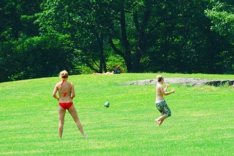 NY-Sunbathing_in_Central_Park-05.JPG