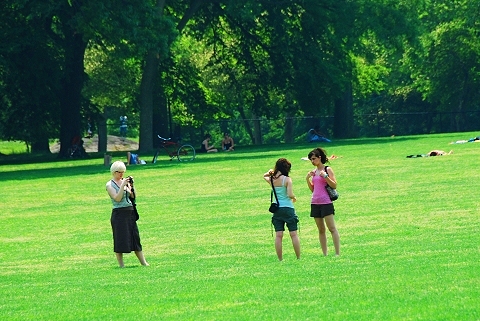 NY-Sunbathing_in_Central_Park-08.JPG