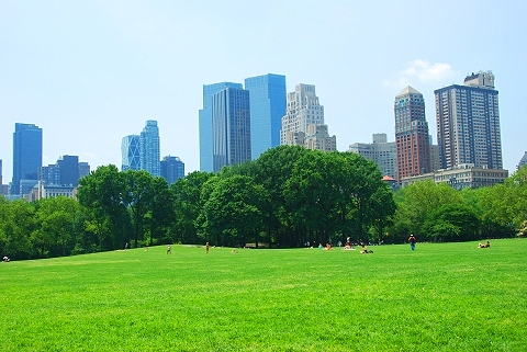 NY-Sunbathing_in_Central_Park-10.JPG