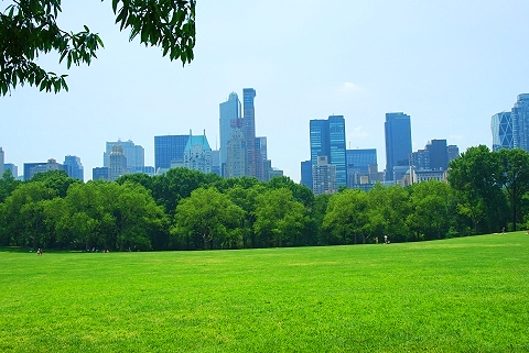 NY-Sunbathing_in_Central_Park-11.JPG