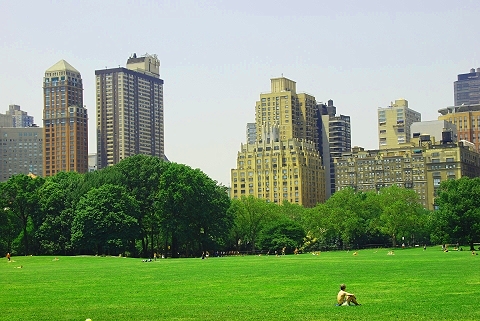 NY-Sunbathing_in_Central_Park-13.JPG