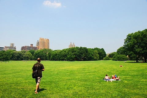 NY-Sunbathing_in_Central_Park-19.JPG