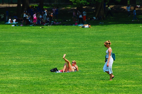 NY-Sunbathing_in_Central_Park-25.JPG