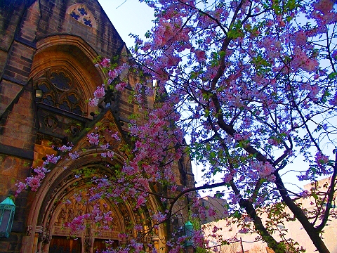 NY-Synod_House_at_Cathedral_of_St_John_Divine-Gargoyles-28.JPG