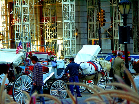 NY-The_Plaza_Under_Construction_Central_Park_South-06.jpg