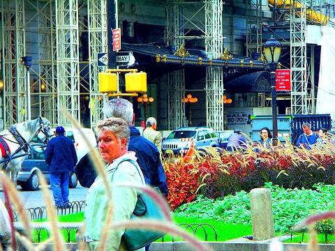 NY-The_Plaza_Under_Construction_Central_Park_South-07.jpg