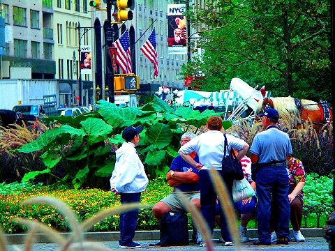 NY-The_Plaza_Under_Construction_Central_Park_South-08.jpg