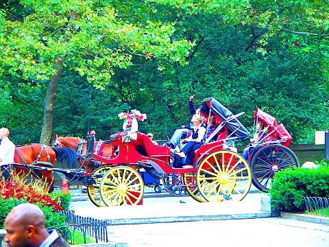 NY-The_Plaza_Under_Construction_Central_Park_South-09.jpg