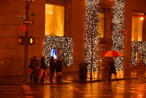 NY-Tiffany_on_Fifth_Avenue-Christmas-2008-03.JPG