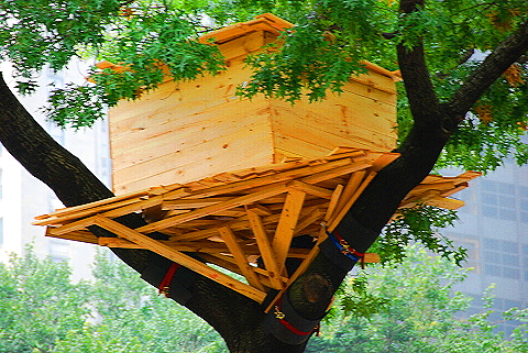 NY-Tree_Houses_by_Tadashi_Kawamata-Madison_Square_Park- 01.JPG