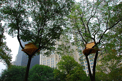 NY-Tree_Houses_by_Tadashi_Kawamata-Madison_Square_Park- 02.JPG