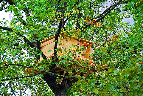 NY-Tree_Houses_by_Tadashi_Kawamata-Madison_Square_Park- 04.JPG