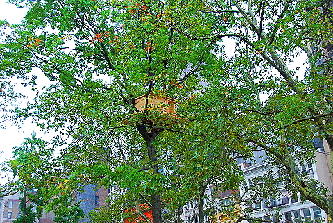 NY-Tree_Houses_by_Tadashi_Kawamata-Madison_Square_Park- 05.JPG