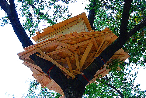 NY-Tree_Houses_by_Tadashi_Kawamata-Madison_Square_Park- 10.JPG