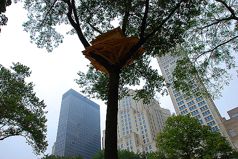 NY-Tree_Houses_by_Tadashi_Kawamata-Madison_Square_Park- 11.JPG