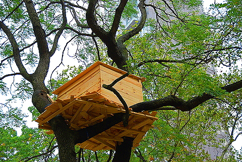NY-Tree_Houses_by_Tadashi_Kawamata-Madison_Square_Park- 12.JPG