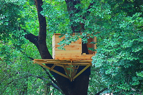 NY-Tree_Houses_by_Tadashi_Kawamata-Madison_Square_Park- 13.JPG
