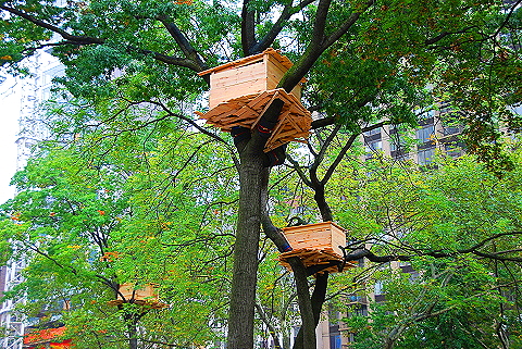 NY-Tree_Houses_by_Tadashi_Kawamata-Madison_Square_Park- 14.JPG