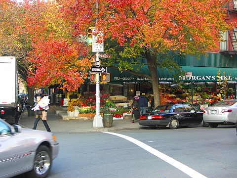 NY-Tribeca-Duane_Park-01-Morgans_Market.JPG