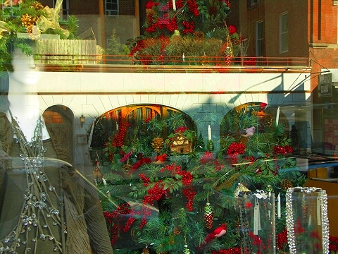 NY-Tribeca-Duane_Street_Christmas_Windows-04.JPG