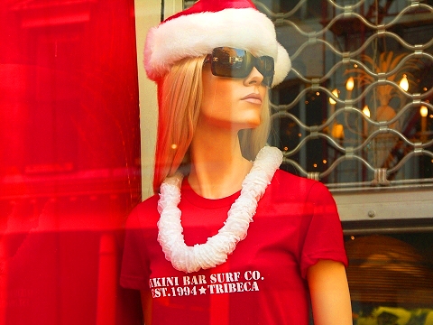 NY-Tribeca-Duane_Street_Christmas_Windows-05-Bikini_Bar_Surf_Co.JPG