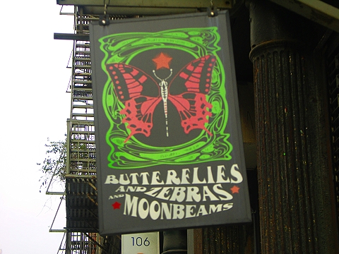 NY-Tribeca_Duane_Street_Shops-17-Butterflies-Zebras_Moonbeams.JPG