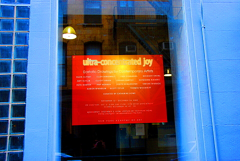 NY-Tribeca-Franklin_Street_Windows_Signs-14.JPG