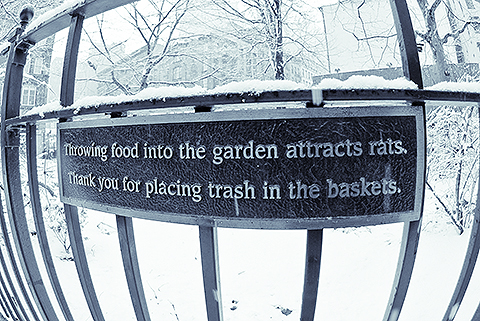 NY-Tribeca_in_the_snow-January_2010-03.jpg