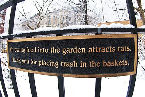 NY-Tribeca_in_the_snow-January_2010-04.jpg